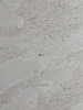 BQ8891 MADREPEROLA (H)
