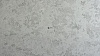 BQ8864 NAXOS (H)
