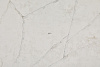 7980_Nitsa Blank