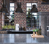 BQ8863 TARTUFO (H)
