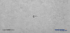 BQ8864 NAXOS (H)