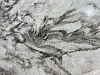 BQ7702 MOONGLADE