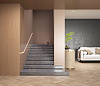 BQ8863 TARTUFO (H)