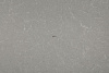 RM444 Ai-Petri Matte