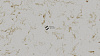 R520 Astrakhan Sands