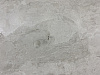 BQ8891 MADREPEROLA (H)