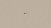 R522 Golden Ring
