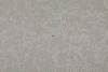 RM500 Pearl of Primorye Matte