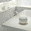 R104 White Taiga