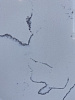 BQ8440 BIANCO VENATO